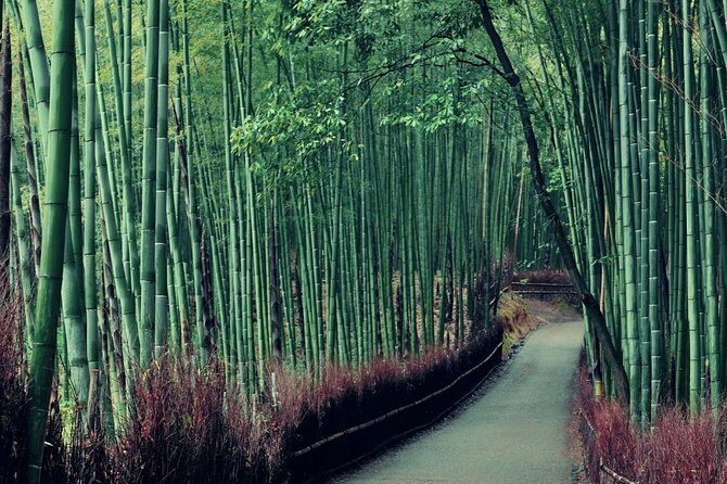 Kobe Shore Excursion to Kyoto: Private Tour with Local Guide - The Itinerary in Detail: What to Expect