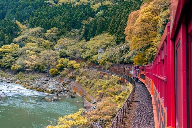 Kobe Shore Excursion to Kyoto: Private Tour with Local Guide - Who Should Consider This Tour?