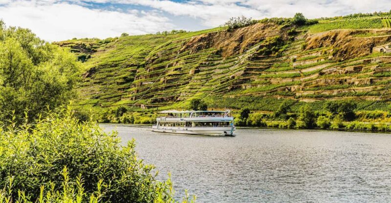 Koblenz: Panoramic Cruise on Moselle River to Winningen - The Experience Provider and Booking Details