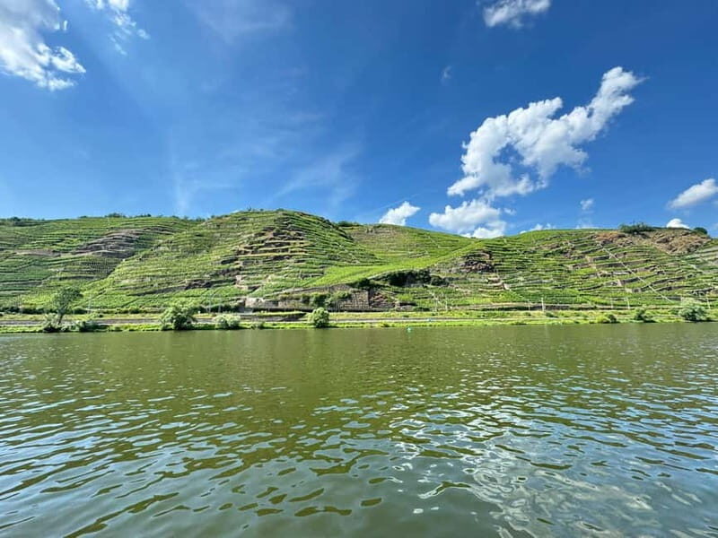 Koblenz: Private boat tour on the Moselle + wine experience - Who Should Consider This Tour