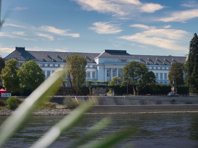 Koblenz:Rhine Valley boat tour along the castles and palaces - Food, Drink, and Extras