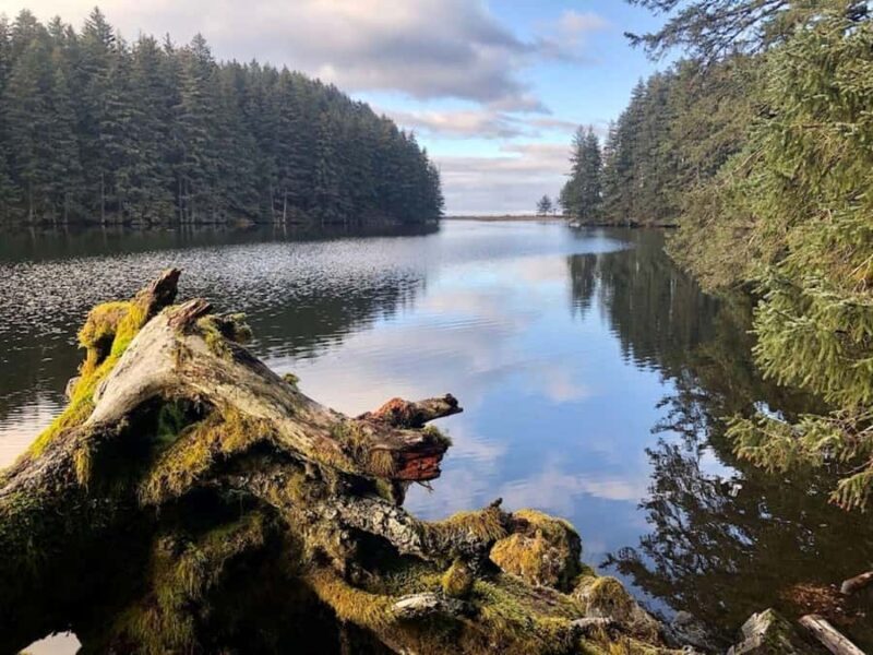 Kodiak: Rainforest Hike with Naturalist Guide - What to Bring & Practical Tips