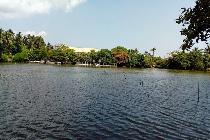 Koggala Lake Boat Tour - An In-Depth Look at the Koggala Lake Boat Tour
