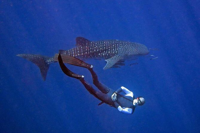 Koh Chang Freedive Trip ( Start at Koh Chang) - An In-Depth Look at the Koh Chang Freedive Trip