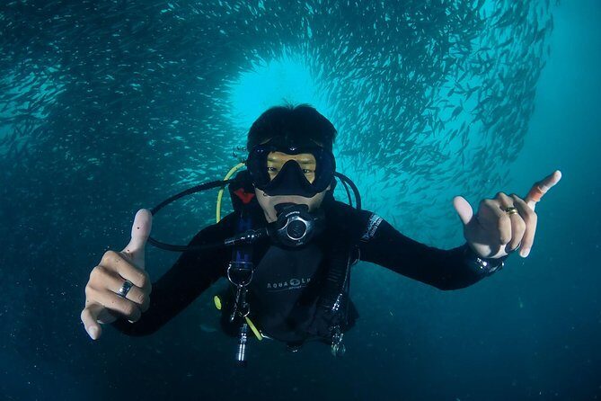 Koh Samui 2-Dive Trip to Sail Rock for certified divers - Who Is This Tour Best For?
