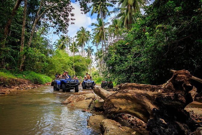 Koh Samui ATV Quad Tour - Final Thoughts: Who Will Love This Tour?