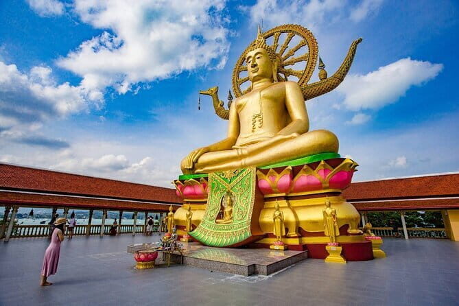 Koh Samui Half Day Island Guided Tour - The Practicalities