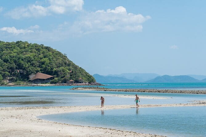 Koh Samui Island Hopping Adventure in Coral and Pig Island - Key Points