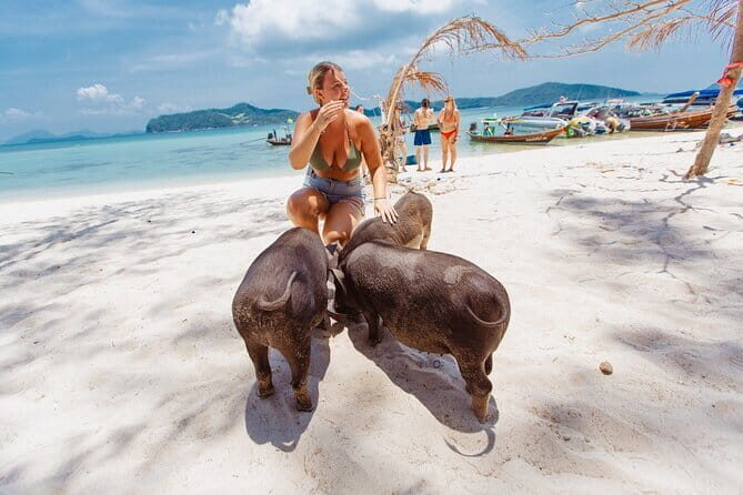Koh Samui Island Hopping Adventure in Coral and Pig Island - The Sum Up