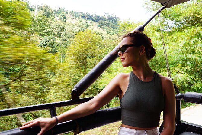 Koh Samui Jungle Safari By JEEP With MR.UNG (Including Lunch) - Who Should Consider This Tour?