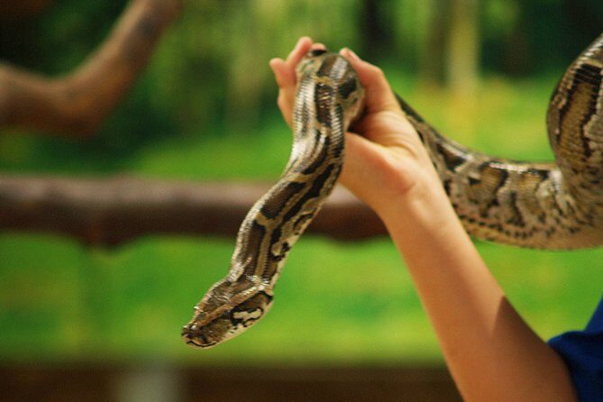 Koh Samui Jungle Safari Eco Tour (Include Lunch) - Who Will Love This Tour?