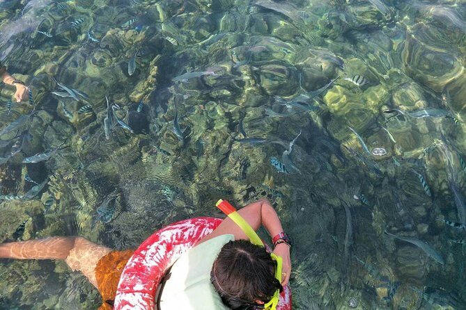 Koh Samui Snorkeling and Kayaking - What to Expect from the Tour