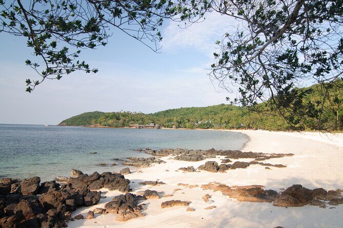 Koh Talu Full Day Shared Experience with Lunch - An In-Depth Look at the Koh Talu Tour