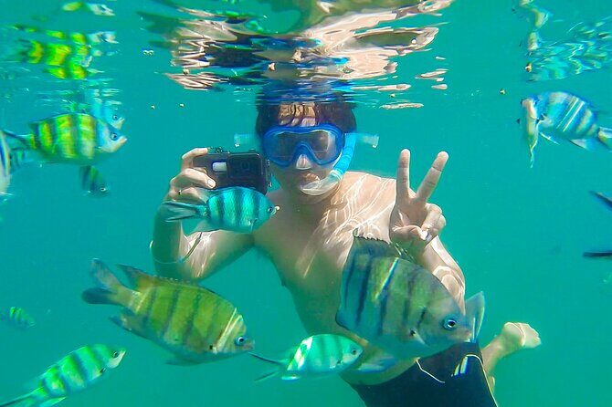 Koh Talu Full Day Shared Experience with Lunch - Final Thoughts