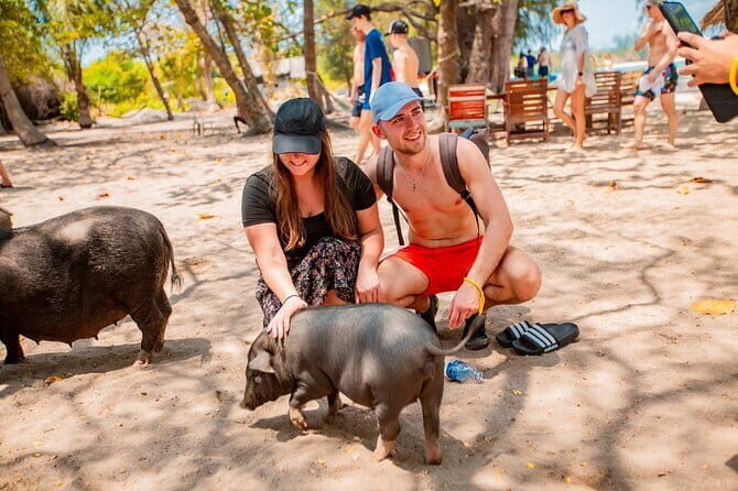 Koh Tan and Pig Island Half-Day Tour by Speed Catamaran - Exploring the Koh Tan and Pig Island Half-Day Tour by Speed Catamaran