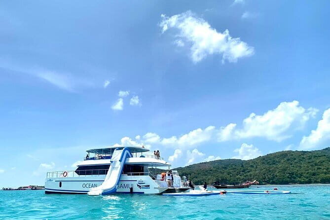 Koh Tan and Pig Island Half-Day Tour by Speed Catamaran - Key Points