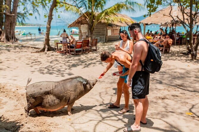 Koh Tan and Pig Island Half-Day Tour by Speed Catamaran - The Experience and Atmosphere