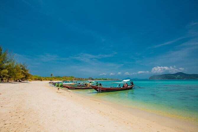 Koh Tan and Pig Island Half-Day Tour by Speed Catamaran - Is It Worth the Price?