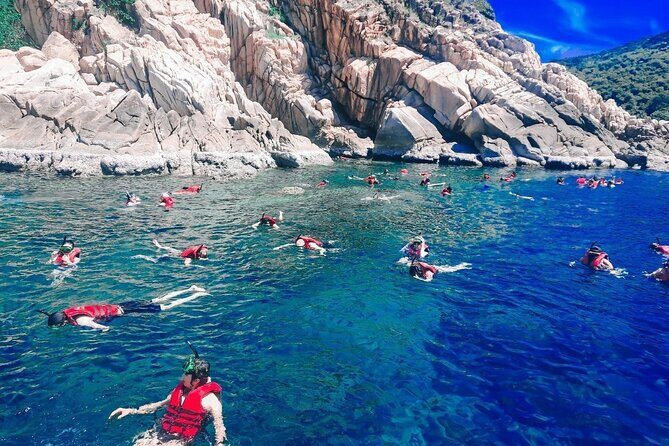 Koh Tao and Koh Nang Yuan Snorkel Tour via Speedboat from Samui - Final Thoughts