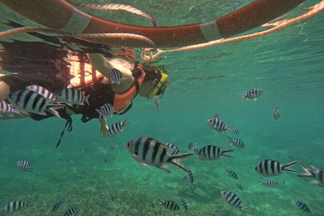 Koh Tao and Koh Nang Yuan Speedboat Tour from Koh Phangan - FAQs