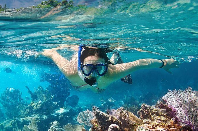 Koh Tao and Koh Nangyuan Snorkeling Tour by Speedboat from Ko Samui - Why This Tour Is a Great Choice