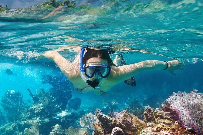 Koh Tao and Koh Nangyuan Snorkeling Tour by Speedboat from Ko Samui - An In-Depth Look at the Tour Experience