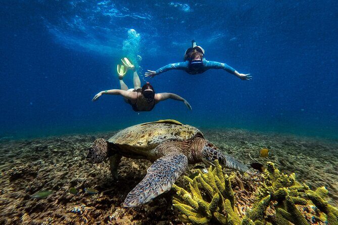 Koh Tao Snorkeling and Island Hopping Tour (Private) - Detailed Breakdown of the Itinerary