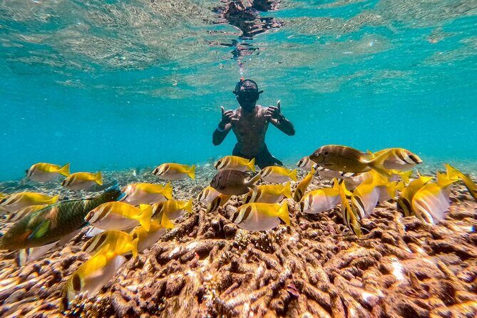 Koh Tao Snorkeling and Island Hopping Tour (Private) - Why Choose This Tour?