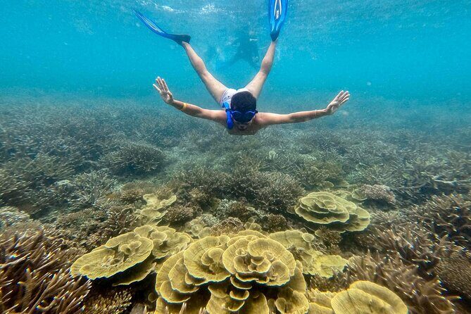Koh Tao Snorkeling and Island Hopping Tour (Private) - Frequently Asked Questions