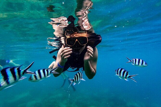 Koh Tao Viewpoint and Snorkeling Tour - Final Thoughts: Is It Worth It?