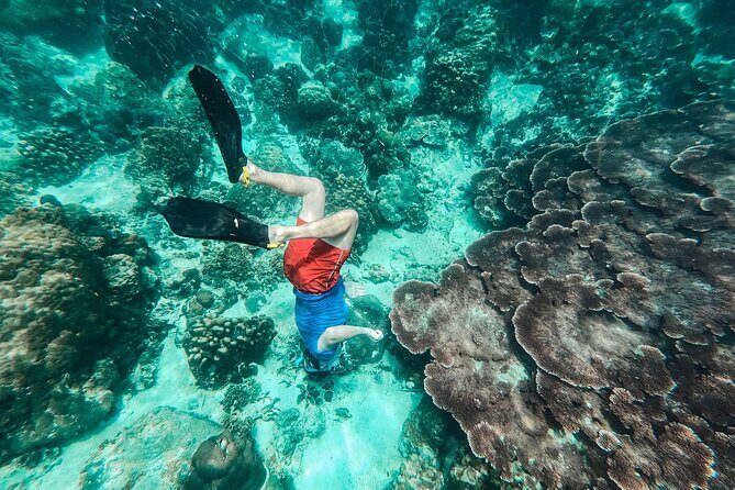 Koh Tao VIP Snorkelling Tour - Practical Details and Tips
