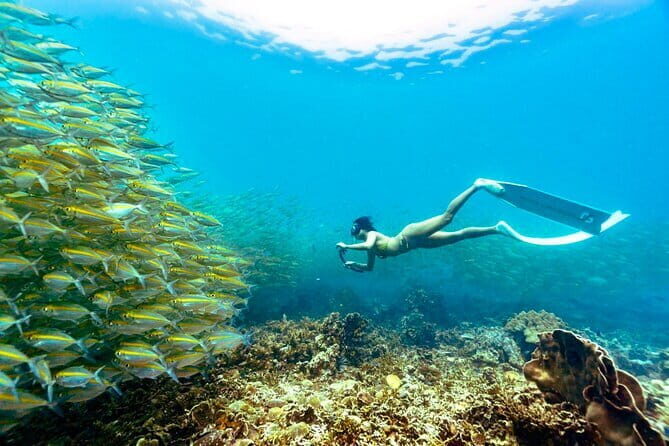 Koh Taos Top Snorkeling Spots by Vintage Wooden Boat - Introduction to the Tour