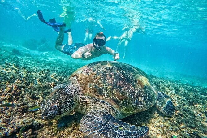 Koh Taos Top Snorkeling Spots by Vintage Wooden Boat - The Authentic Marine Encounters