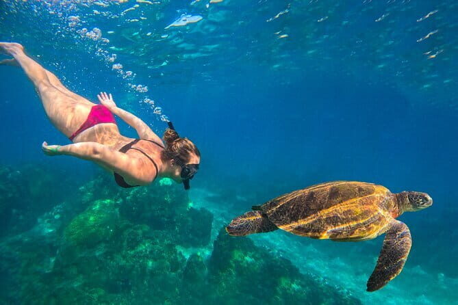 Koh Taos Top Snorkeling Spots by Vintage Wooden Boat - Who Will Love This Tour?
