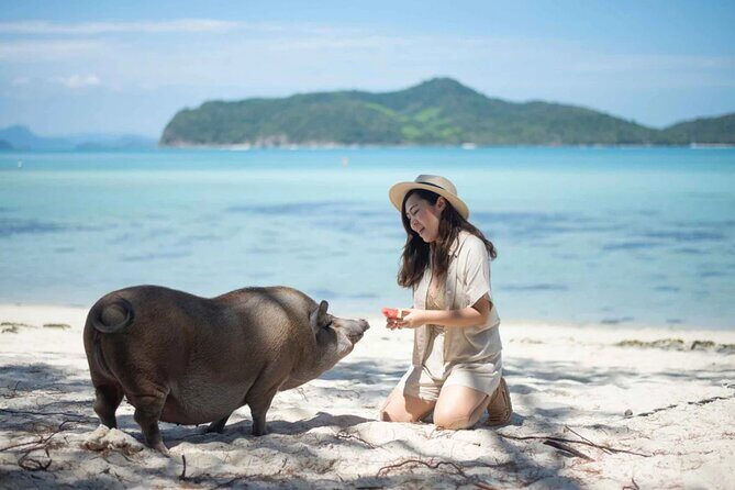 kohsamui.tours - Pig Island Snorkeling Eco Tour by Speed Boat - Authentic Value and What Sets This Tour Apart