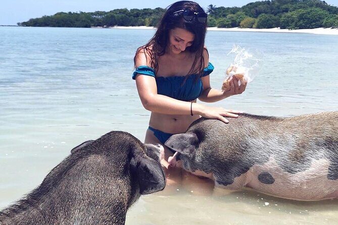 kohsamui.tours - Pig Island Snorkeling Eco Tour by Speed Boat - Who Is This Tour Best For?
