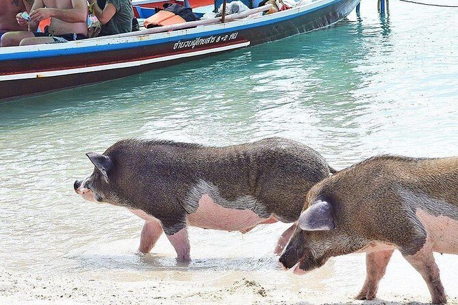kohsamui.tours - Secret Islands Longtail Boat trip - Final Thoughts
