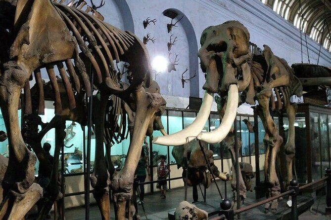 Kolkata Heritage City Tour - FAQ