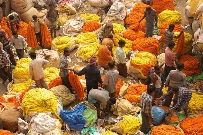 Kolkata - Sounds and Sights - Private Full Day City Tour - The Value Proposition