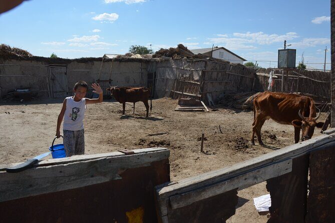 Kolkhoz: Private visit to the cotton farmers' village - An In-Depth Look at the Tour Experience