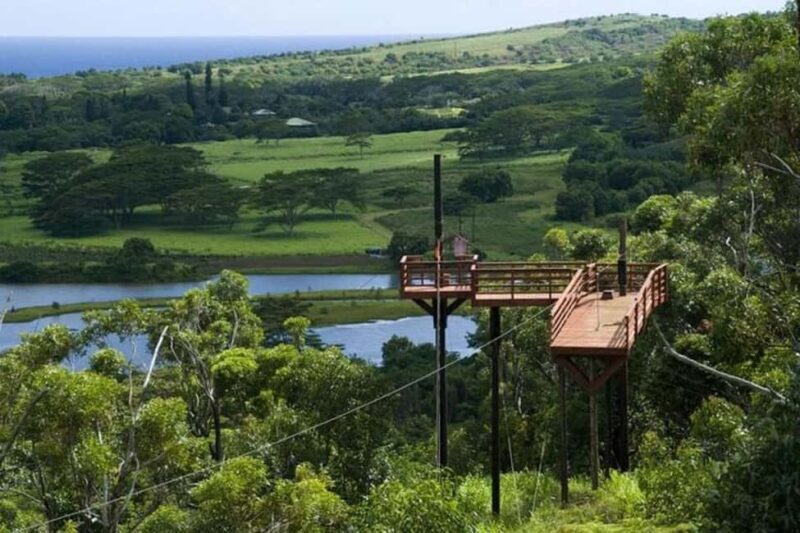 Koloa: Kauais Longest 8-Line Zipline Tour - What Makes This Tour Stand Out?