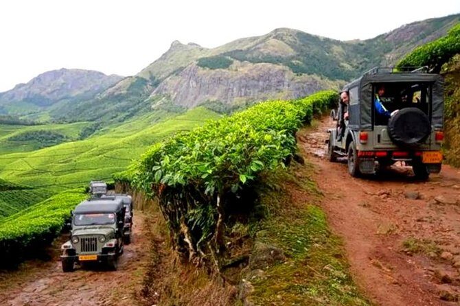 Kolukkumalai Jeep safari -tea trail and Orthodox Tea Factory visit -Private Tour - Key Points