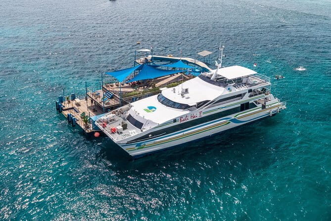 Komodo Island Adventure from Bali (Day Trip) - Stop 3: Manta Point