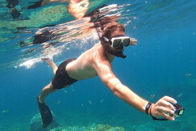 Komodo Island Adventure from Bali (Day Trip) - Whats Included and Whats Not