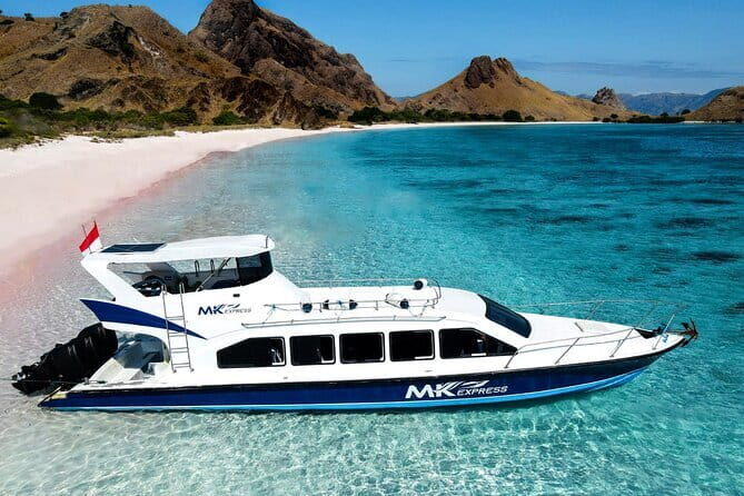 Komodo Islands with Speedboat in Labuhan Bajo - Final Thoughts