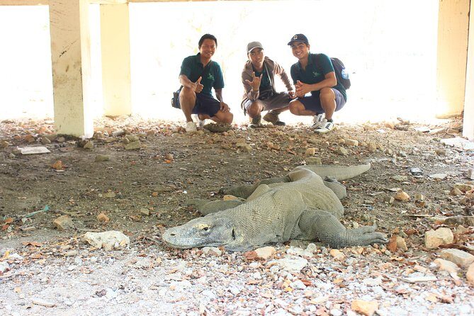 Komodo Sailing cruise - FAQs
