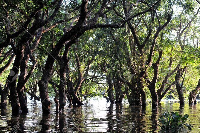 Kompong Phluk Village Tonle Sap Lake Half-Day Tour From Siem Reap - A Detailed Look at What to Expect
