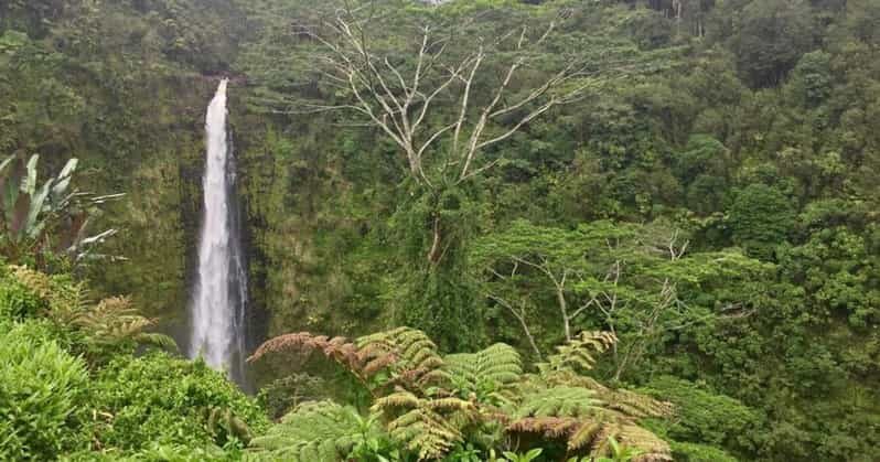 Kona: Big Island Big Volcano Adventure - Who Will Love This Tour?