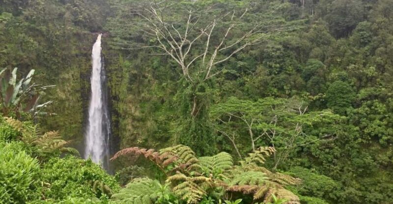 Kona: Big Island Big Volcano Adventure - FAQs