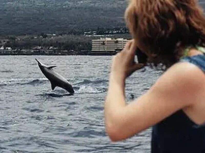 Kona: Captain Cook Snorkel Tour - Final Thoughts: Who Should Consider This Tour?